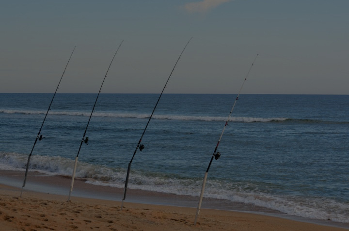 rods of surf fishing on shore