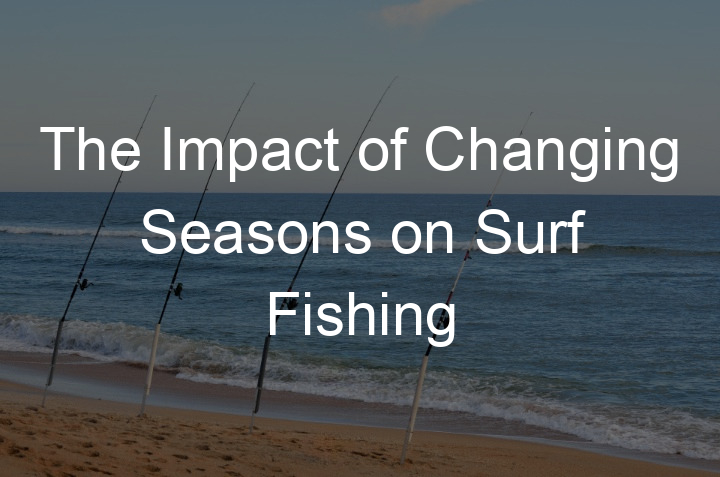 featured image seasons and surf fishing