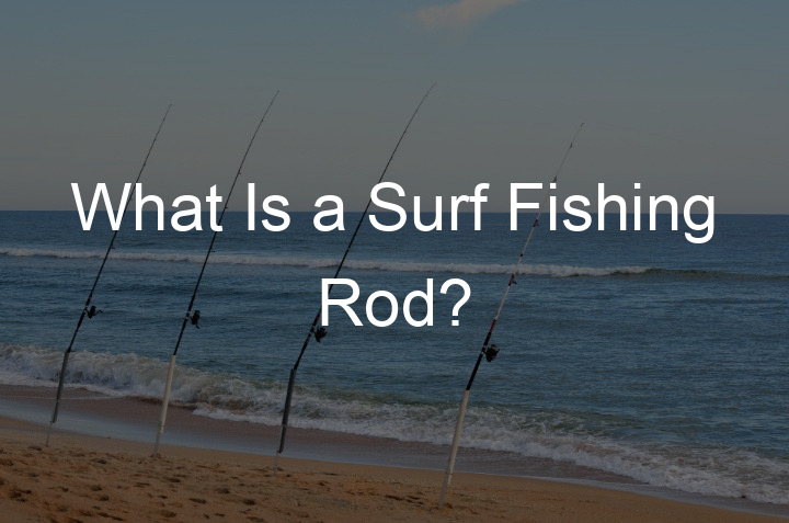 Surf Fishing Rod